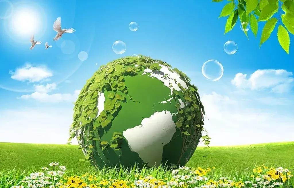 1590803981952326.jpg 1590803981952326.jpg