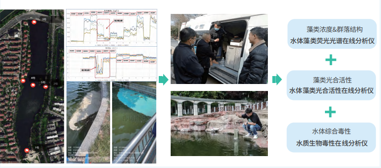 1728956305988483.jpg 1728956164029.jpg